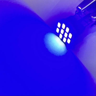 لامپ سکن 10 تایی رنگ آبی بسته 2 عددی