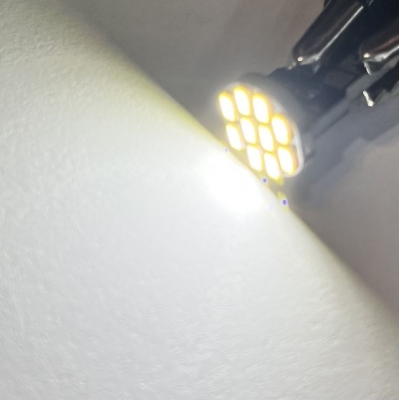 لامپ سکن رنگ سفید 10 تایی بسته 2 عددی